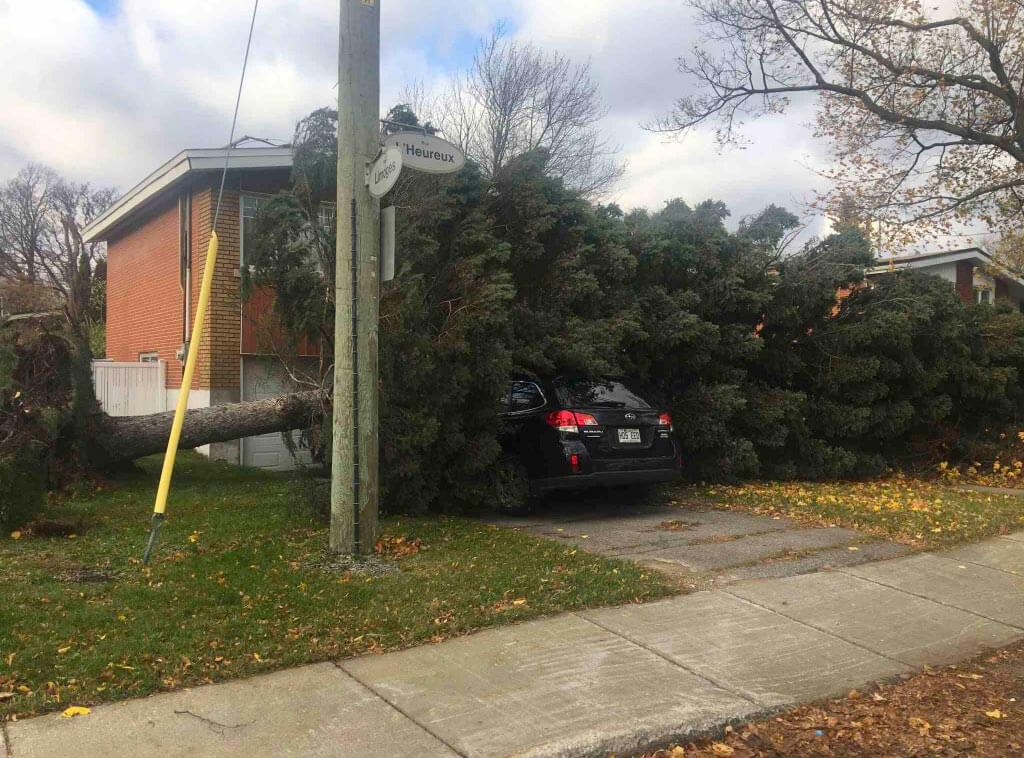 Abattage d'urgence suite &agrave; temp&ecirc;te de neige, de vent, de gr&ecirc;le dans la r&eacute;gion de Montr&eacute;al, Laval et Rive-Nord